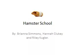 Hamster School