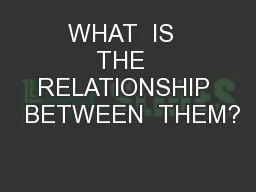 WHAT  IS  THE  RELATIONSHIP  BETWEEN  THEM?
