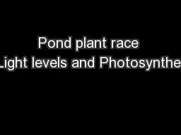 Pond plant race – Light levels and Photosynthesis