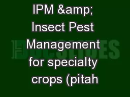 IPM & Insect Pest Management for specialty crops (pitah