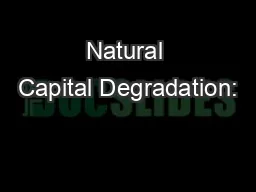 Natural Capital Degradation: