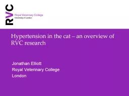 Hypertension in the cat – an overview of RVC research
