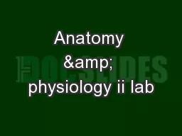 Anatomy & physiology ii lab