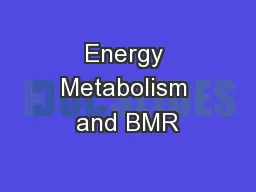 Energy Metabolism and BMR