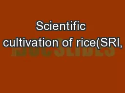 Scientific cultivation of rice(SRI,