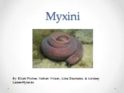 Myxini