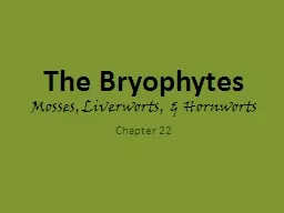 The Bryophytes