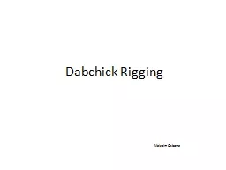 Dabchick Rigging