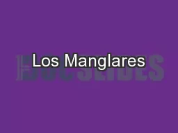 Los Manglares