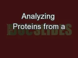 Analyzing Proteins from a