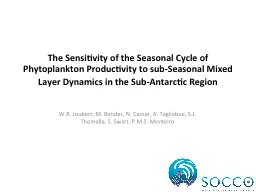 The Sensitivity of the Seasonal Cycle of Phytoplankton Prod