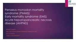 Penaeus monodon mortality syndrome (PMMS)