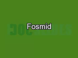 Fosmid
