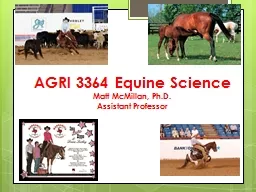 AGRI 3364 Equine