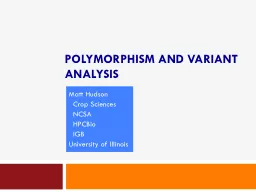 POLYMORPHISM AND VARIANT ANALYSIS