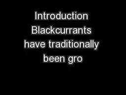 Introduction Blackcurrants have traditionally been gro