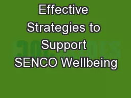 Effective Strategies to Support SENCO Wellbeing