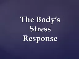 The Body’s Stress Response