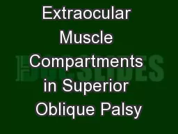 Extraocular Muscle Compartments in Superior Oblique Palsy