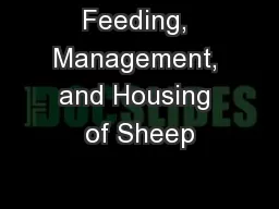 Feeding, Management, and Housing of Sheep