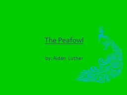 The Peafowl