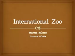 International Zoo
