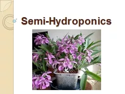 Semi-Hydroponics
