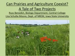 Can Prairies and Agriculture Coexist?