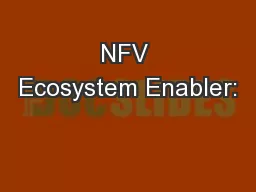 NFV Ecosystem Enabler: