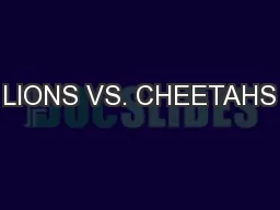 LIONS VS. CHEETAHS