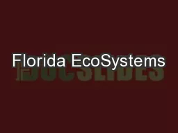 Florida EcoSystems