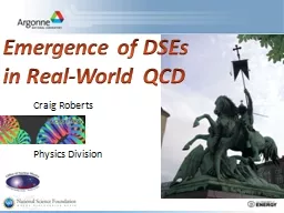 Emergence of DSEs in Real-World QCD