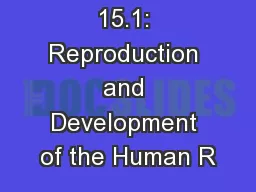15 Lesson 15.1: Reproduction and Development of the Human R