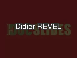 Didier REVEL
