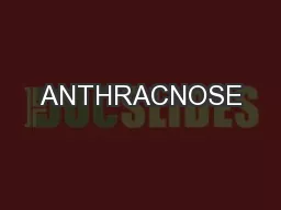 ANTHRACNOSE