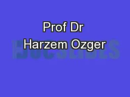 Prof Dr Harzem Ozger