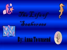 The Life of Seahorses