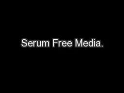 Serum Free Media.