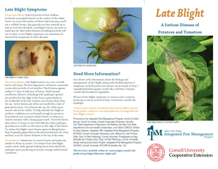Late Blight A Serious Disease of Potatoes and Tomatoes