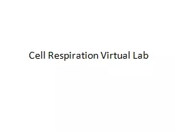 Cell Respiration Virtual Lab