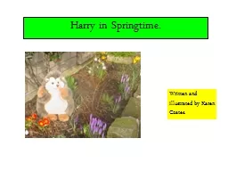 Harry in Springtime.