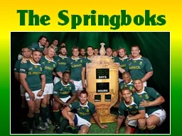 The Springboks