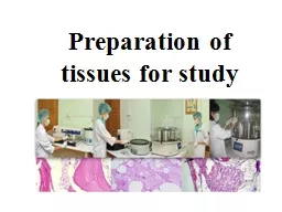 Preparation of tissues for study