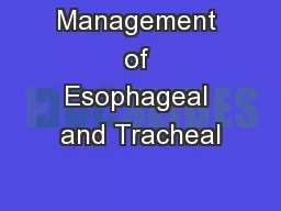 Management of Esophageal and Tracheal