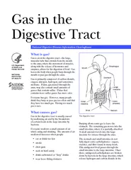Gas in the Digestive Tract National Digestive Diseases