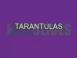 TARANTULAS