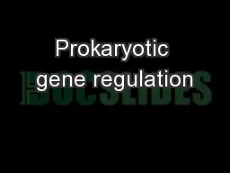 Prokaryotic gene regulation