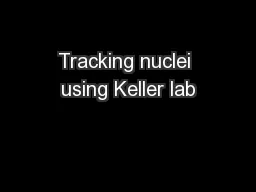 Tracking nuclei using Keller lab