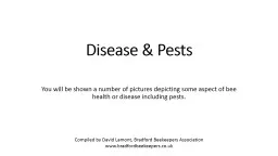Disease & Pests
