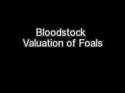 Bloodstock Valuation of Foals